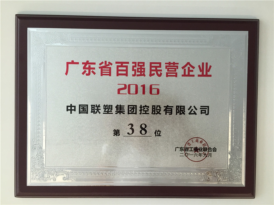 2016廣東省百強民營企業第38位